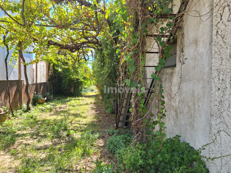 Moradia T5 para Venda em Paialvo Foto 7