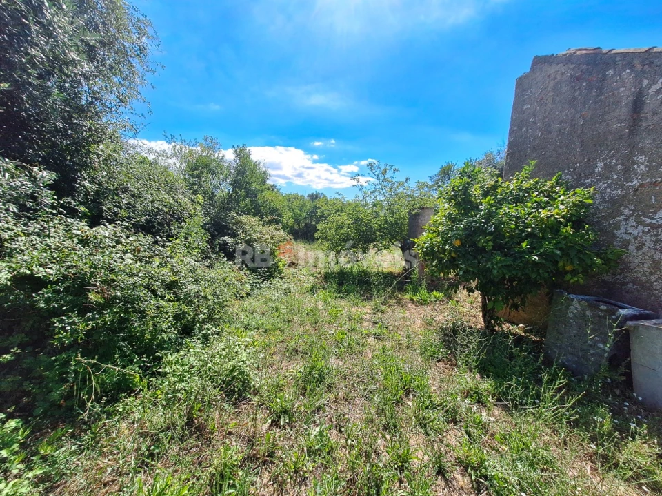 Moradia T5 para Venda em Paialvo Foto 12