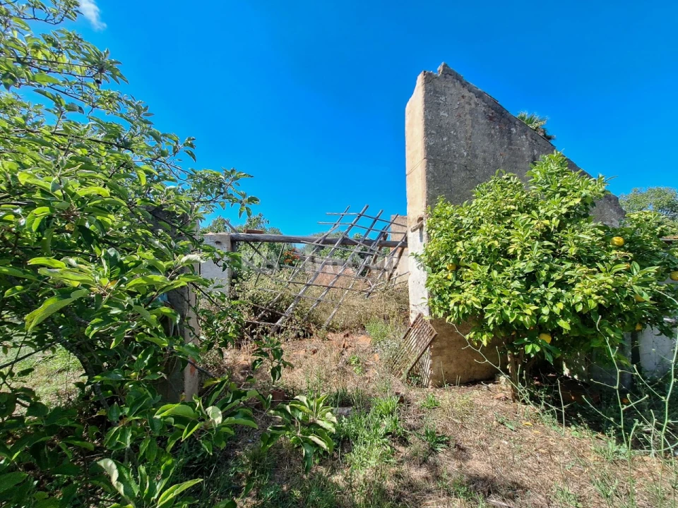 Moradia T5 para Venda em Paialvo Foto 13