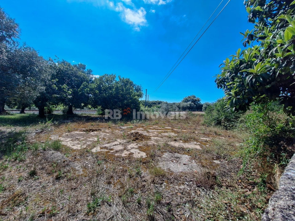 Moradia T5 para Venda em Paialvo Foto 14