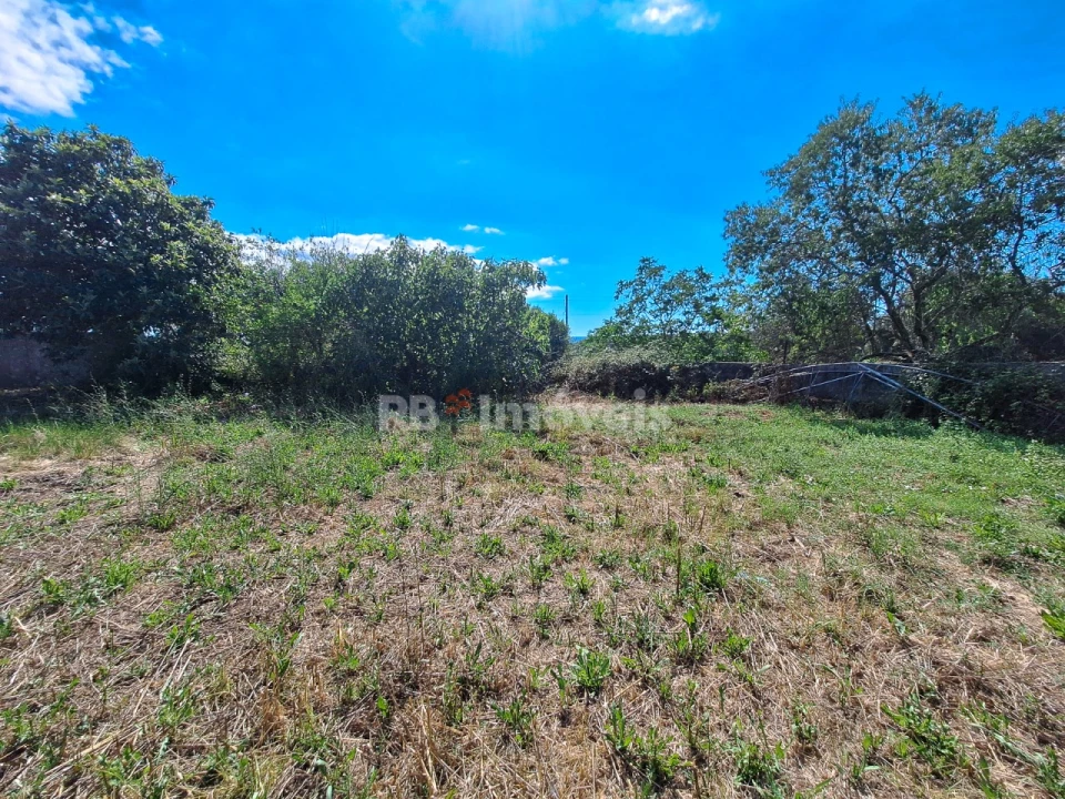 Moradia T5 para Venda em Paialvo Foto 15