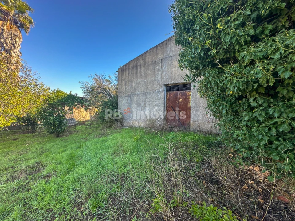 Moradia T5 para Venda em Paialvo Foto 23