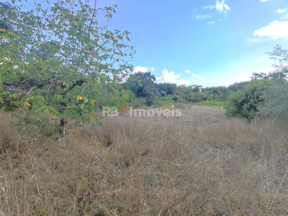 Terreno para Venda em Chãos Foto 8