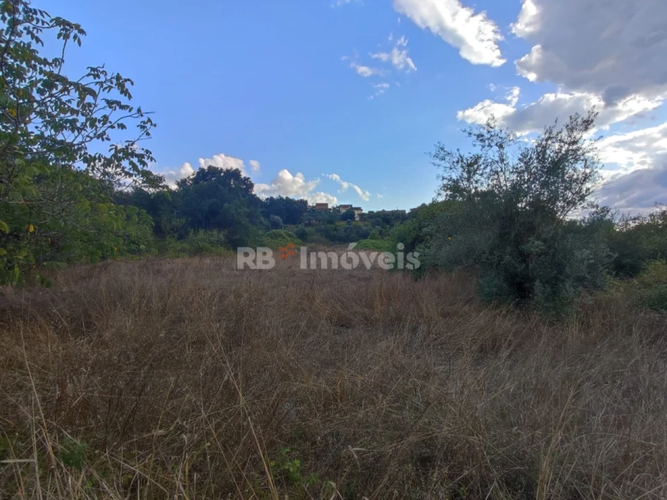 Terreno para Venda em Chãos Foto 9