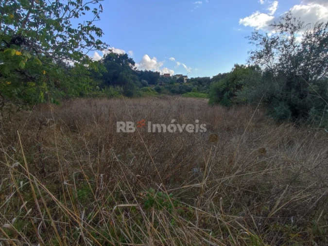 Terreno para Venda em Chãos Foto 3