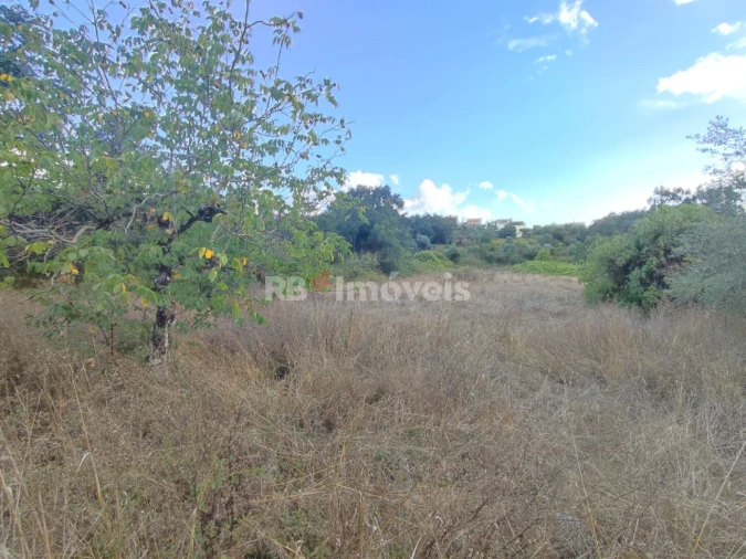 Terreno para Venda em Chãos Foto 8