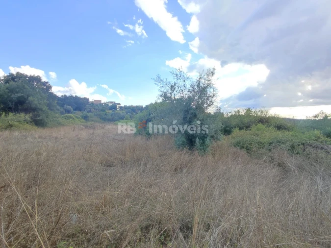 Terreno para Venda em Chãos Foto 4