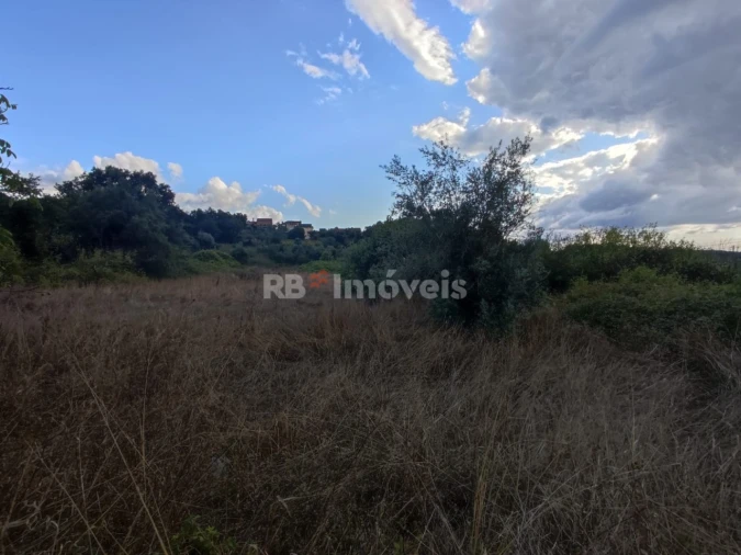 Terreno para Venda em Chãos Foto 10