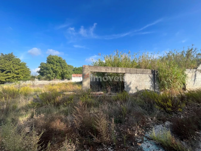 Armazém para Venda em Nossa Sra de Fatima Foto 4