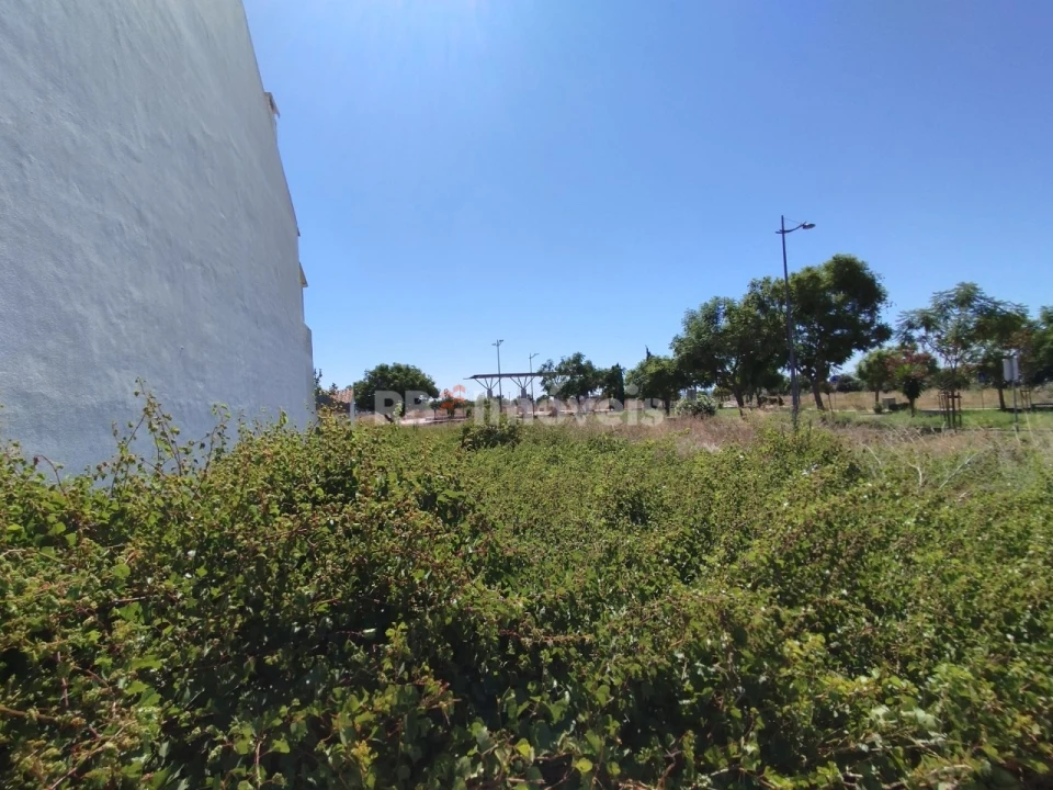 Terreno para Venda em São João Baptista Foto 8