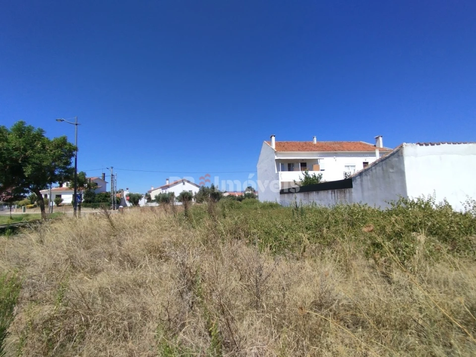Terreno para Venda em São João Baptista Foto 5
