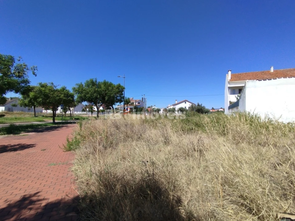 Terreno para Venda em São João Baptista Foto 3