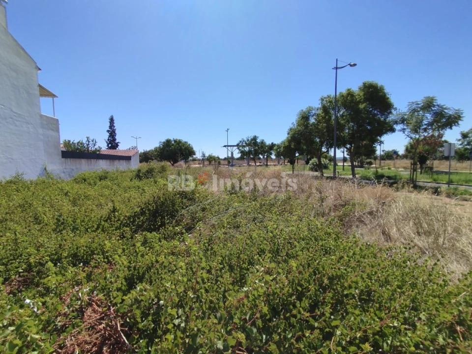 Terreno para Venda em São João Baptista Foto 11