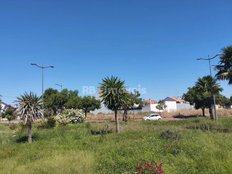Terreno para Venda em São João Baptista Foto 12