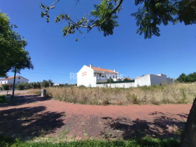 Terreno para Venda em São João Baptista Foto 4