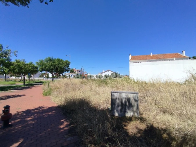 Terreno para Venda em São João Baptista Foto 9