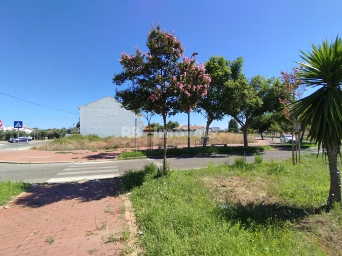 Terreno para Venda em São João Baptista Foto 10