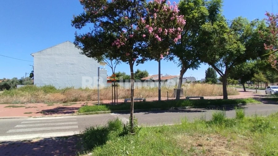 Terreno para Venda em São João Baptista