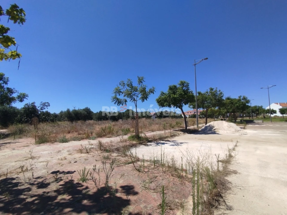 Terreno para Venda em São João Baptista Foto 3