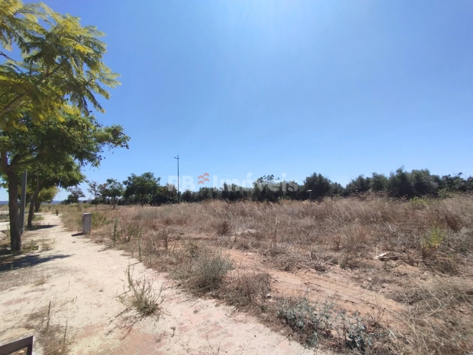 Terreno para Venda em São João Baptista Foto 1