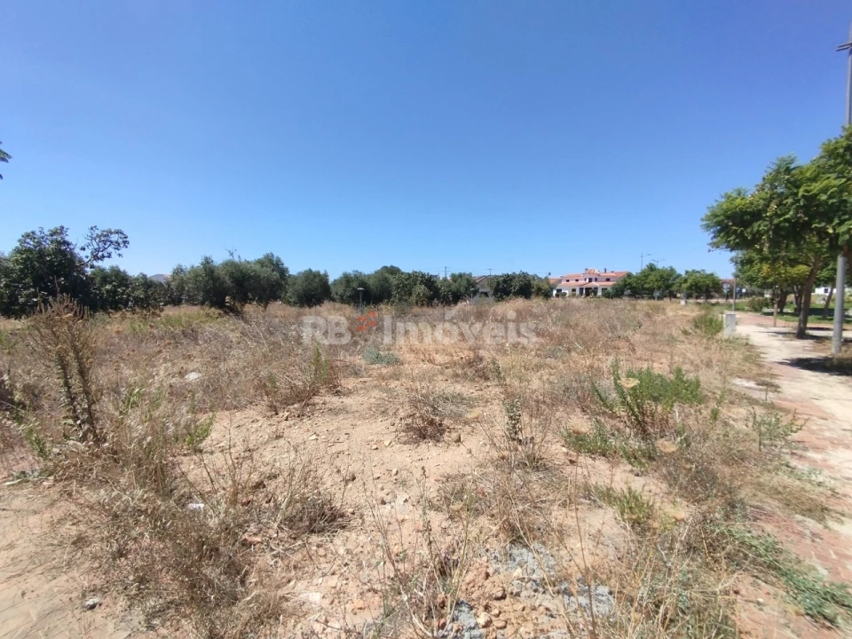 Terreno para Venda em São João Baptista Foto 8