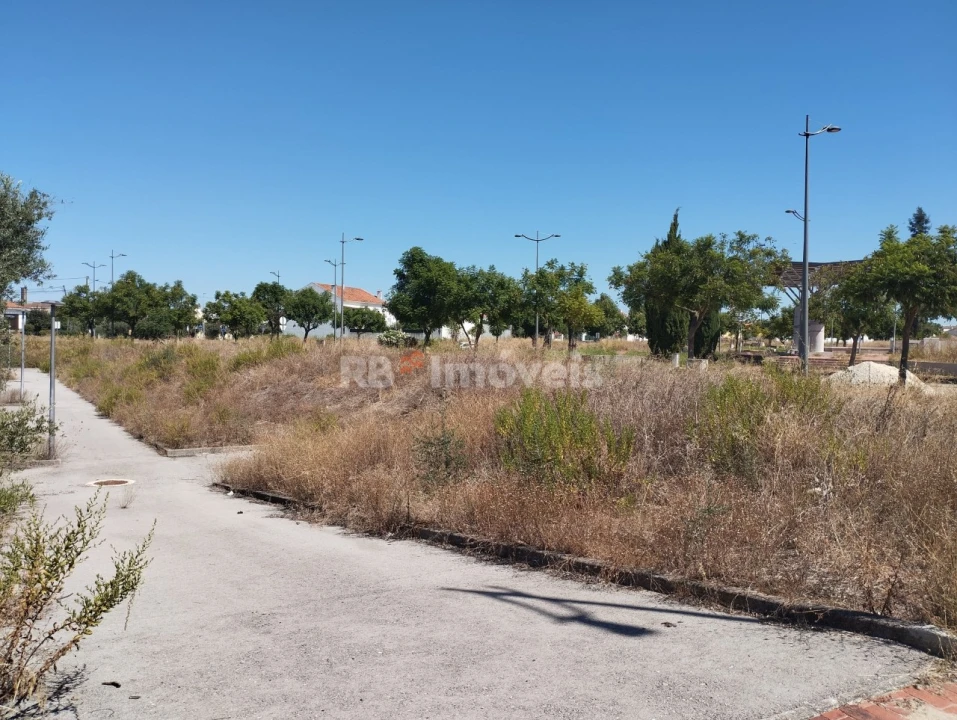 Terreno para Venda em São João Baptista Foto 9