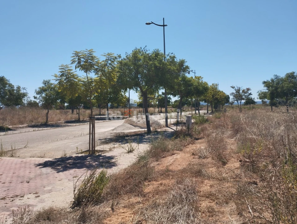 Terreno para Venda em São João Baptista Foto 2