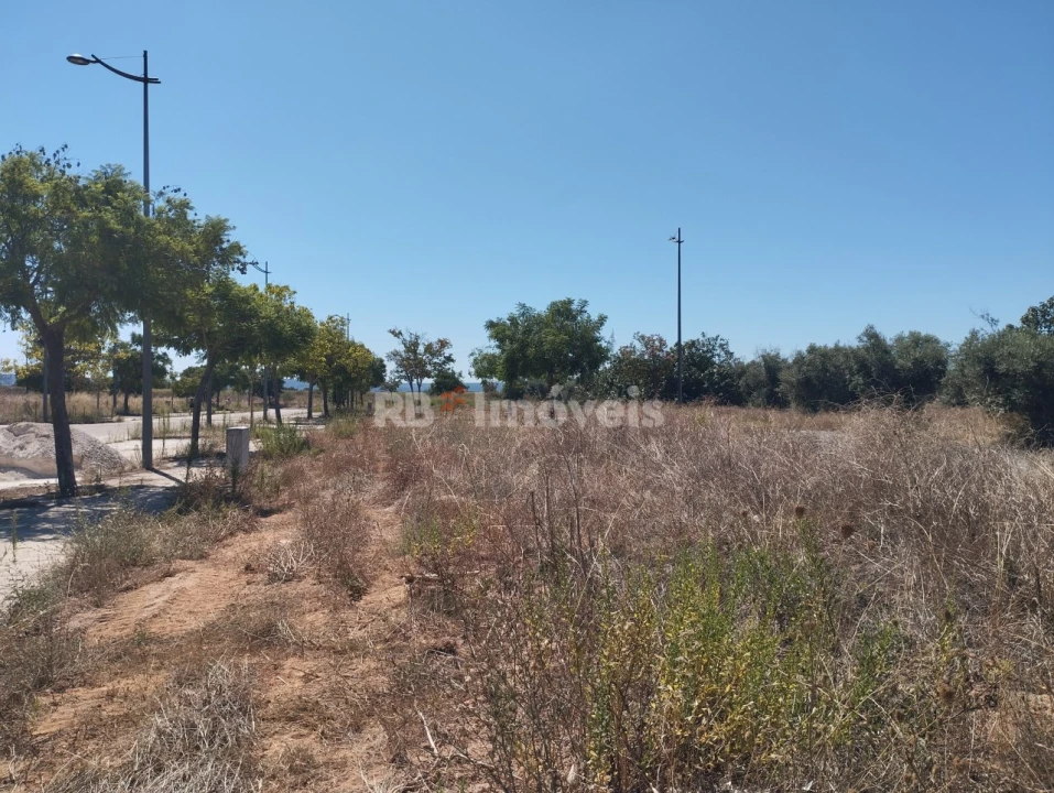 Terreno para Venda em São João Baptista Foto 13