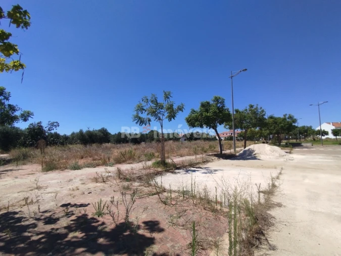 Terreno para Venda em São João Baptista Foto 3