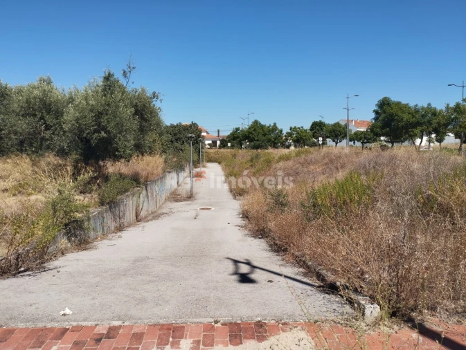 Terreno para Venda em São João Baptista Foto 10