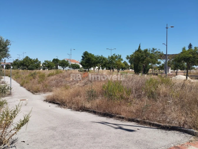 Terreno para Venda em São João Baptista Foto 9