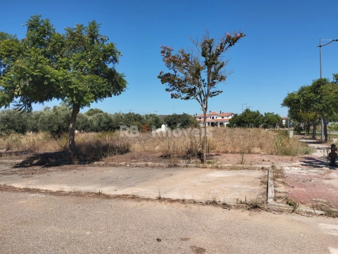 Terreno para Venda em São João Baptista Foto 4