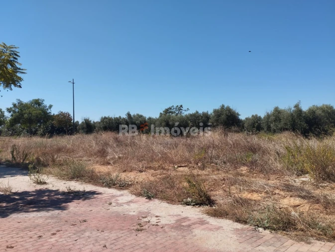Terreno para Venda em São João Baptista Foto 6