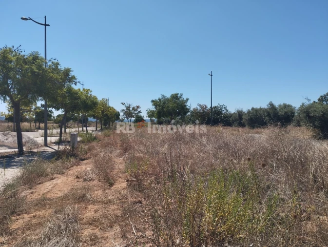 Terreno para Venda em São João Baptista Foto 13