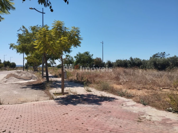 Terreno para Venda em São João Baptista Foto 5