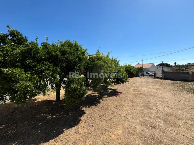 Quinta T2 para Venda em Riachos Foto 4