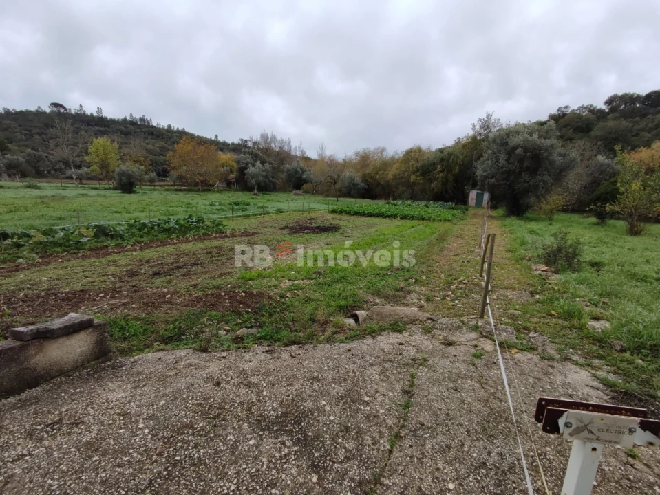 Terreno para Venda em Além da Ribeira e Pedreira Foto 11