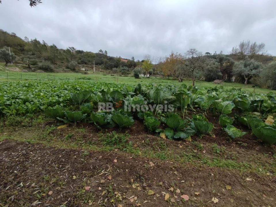 Terreno para Venda em Além da Ribeira e Pedreira Foto 6