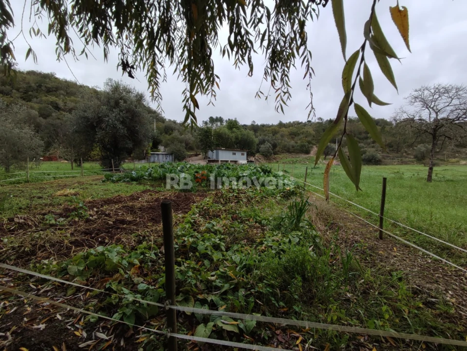 Terreno para Venda em Além da Ribeira e Pedreira Foto 20
