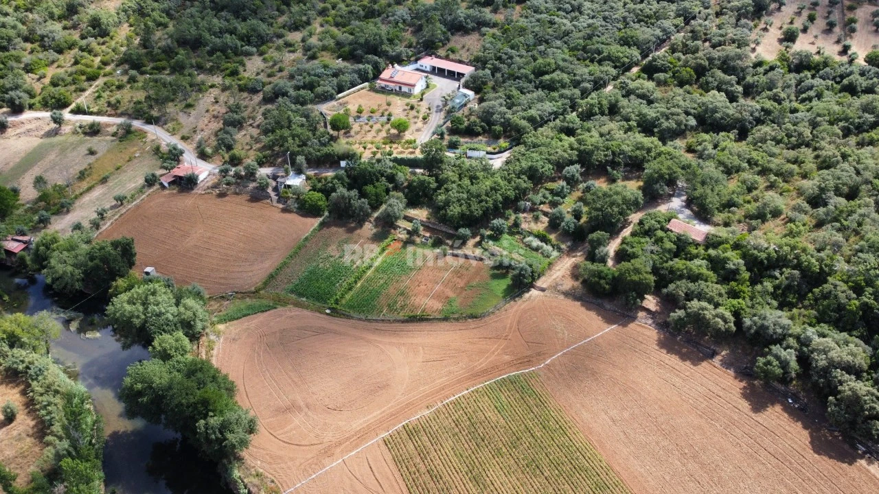 Terreno para Venda em Além da Ribeira e Pedreira Foto 32