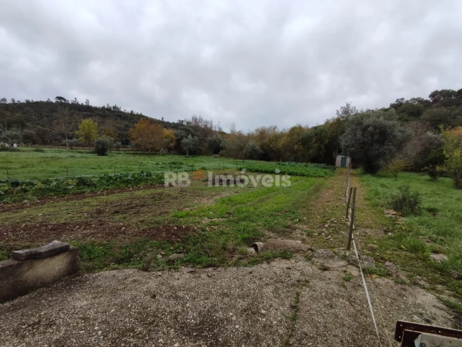 Terreno para Venda em Além da Ribeira e Pedreira Foto 5