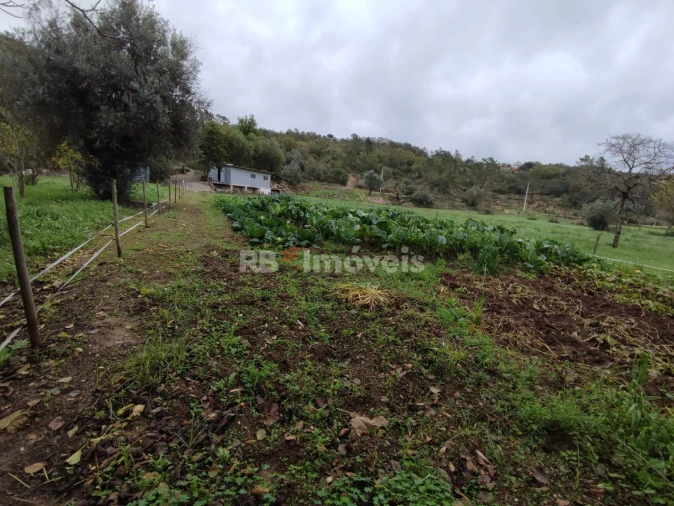 Terreno para Venda em Além da Ribeira e Pedreira Foto 9