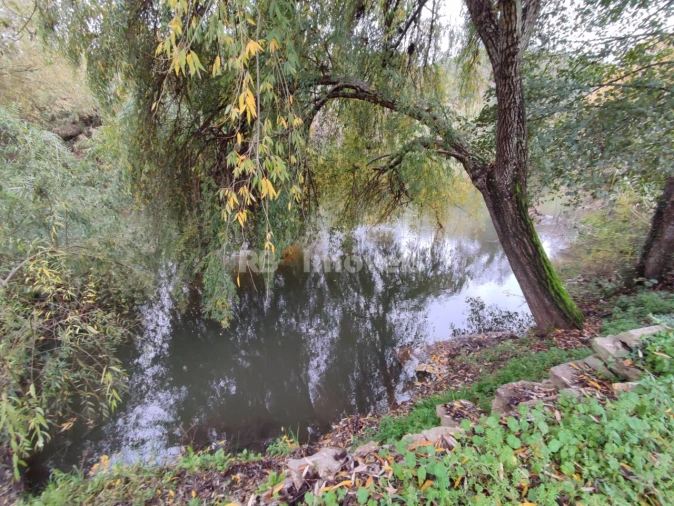 Terreno para Venda em Além da Ribeira e Pedreira Foto 18