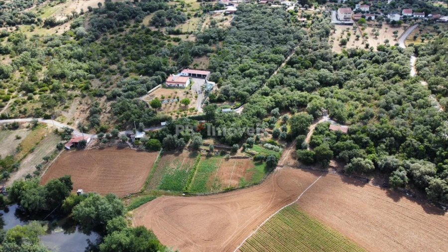 Terreno para Venda em Além da Ribeira e Pedreira Foto 34