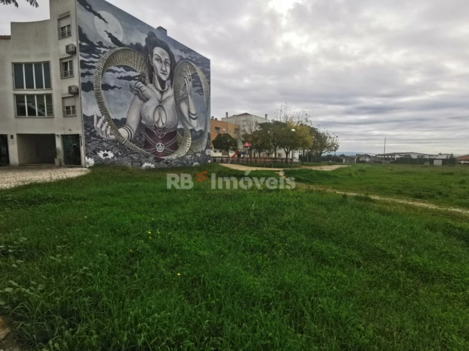 Terreno para Venda em Vila Nova da Barquinha Foto 5