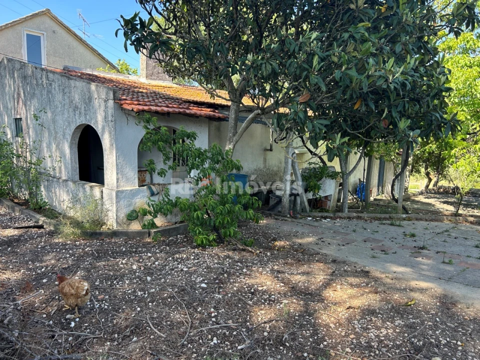 Quinta T2 para Venda em São João Baptista e Santa Maria dos Olivais Foto 1