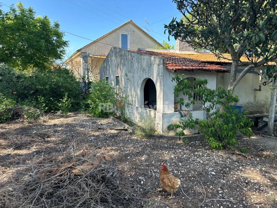 Quinta T2 para Venda em São João Baptista e Santa Maria dos Olivais Foto 6
