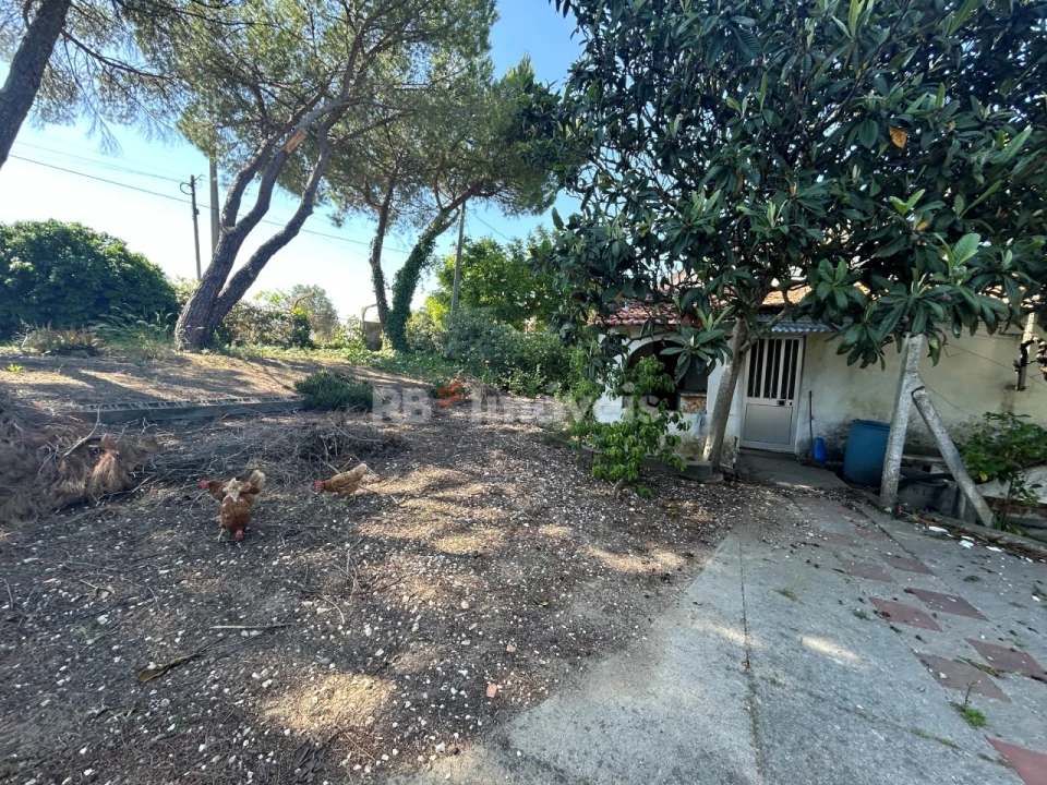 Quinta T2 para Venda em São João Baptista e Santa Maria dos Olivais Foto 12