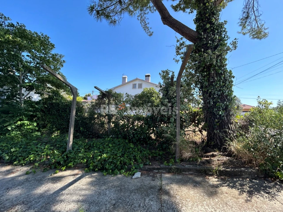 Quinta T2 para Venda em São João Baptista e Santa Maria dos Olivais Foto 16