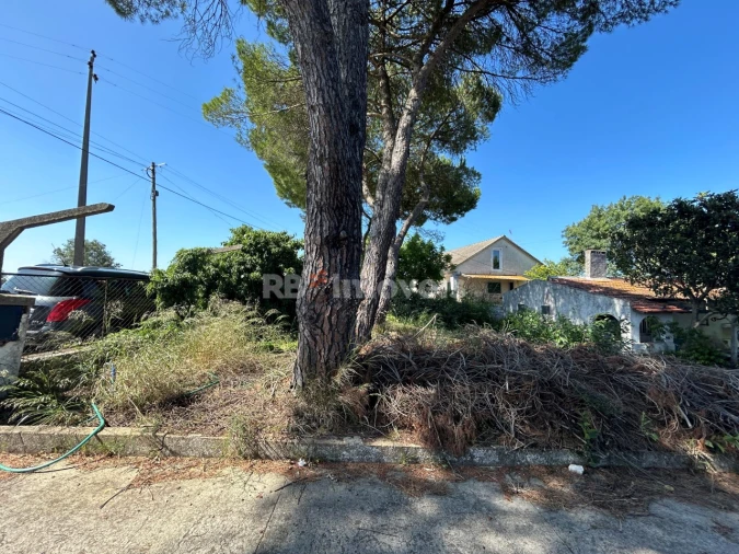 Quinta T2 para Venda em São João Baptista e Santa Maria dos Olivais Foto 9